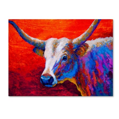 Trademark Fine Art Marion Rose 'Sunset Ablaze Longhorn' Canvas Art, 18x24 ALI7787-C1824GG